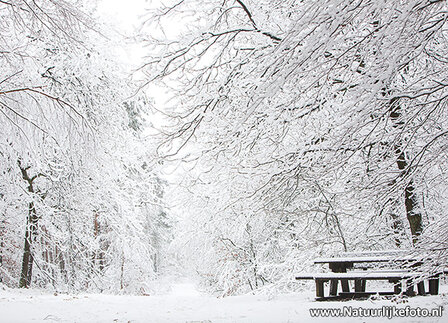 Ansichtkaarten winter