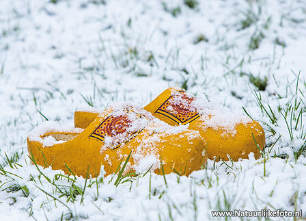 Ansichtkaarten winter