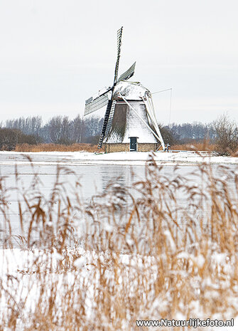 Ansichtkaarten winter