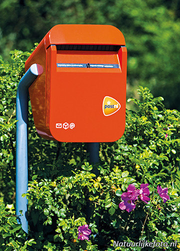 het winkelcentrum Raadplegen Terugbetaling Ansichtkaart PostNL brievenbus - uit voorraad leverbaar !