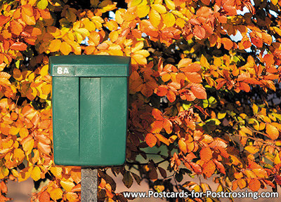 Salie Viskeus reflecteren Ansichtkaart groene brievenbus - uit voorraad leverbaar !