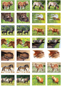 achterzijde verlegen Nieuwheid Paarden stickers - stickervel met 28 paarden stickers