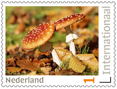 Postzegels 5 x Internationaal Paddestoelen