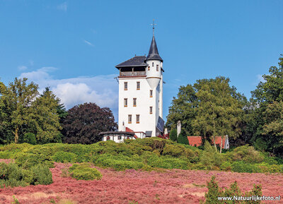 ansichtkaart Palthetoren in Haarle