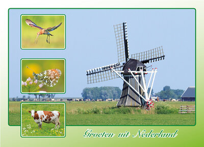 ansichtkaart groeten uit Nederland - Postcrossing kaarten top 100