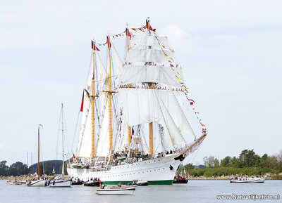 ansichtkaart zeilschip - Sail Amsterdam - Esmeralda