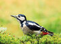 cursus fotografie Drenthe